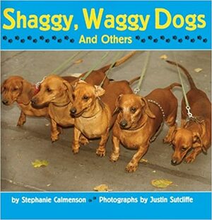 Shaggy, Waggy Dogs (And Others) by Justin Sutcliffe, Stephanie Calmenson