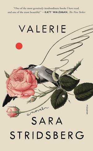 Valerie: or, The Faculty of Dreams by Sara Stridsberg