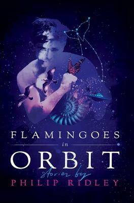 Flamingoes in Orbit by Philip Ridley