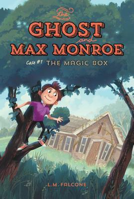 The Magic Box by L. M. Falcone