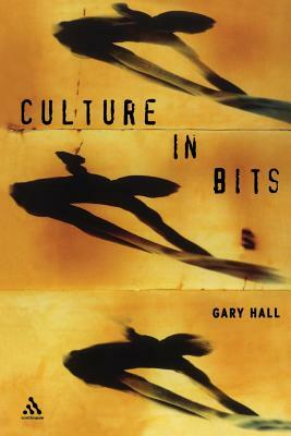 Culture in Bits by Gary Hall
