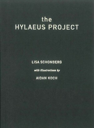 The Hylaeus Project by Lisa Schonberg