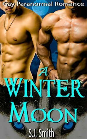 A Winter Moon by S.J. Smith