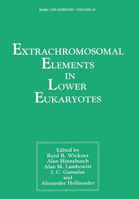 Extrachromosomal Elements in Lower Eukaryotes by 