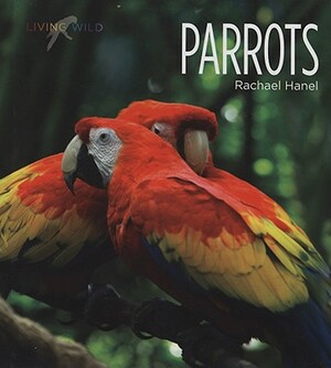 Parrots by Rachael Hanel
