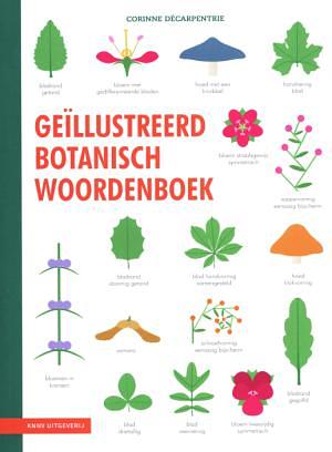 Geïllustreerd botanisch woordenboek by Corinne Décarpentrie