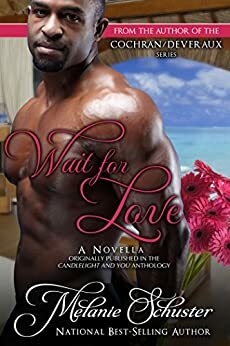 Wait for Love by Melanie Schuster