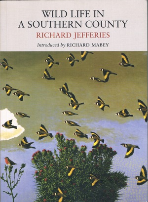 Wild Life in a Southern County by Richard Jefferies