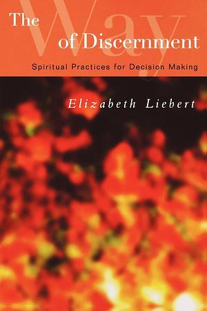 The Way of Discernment: Spiritual Practices for Decision Making by Elizabeth Liebert (1-Aug-2008) Paperback by Elizabeth Liebert, Elizabeth Liebert