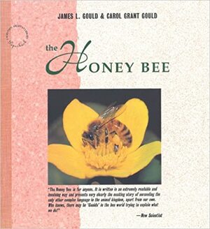 The Honey Bee by Carol Grant Gould, James L. Gould