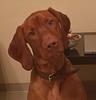 petra_reads's profile picture