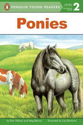 Ponies by Meg Belviso, Pam Pollack