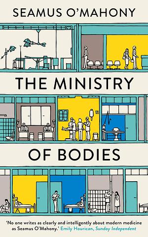 The Ministry of Bodies by Seamus O'Mahony