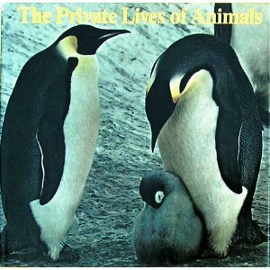 The Private Lives of Animals by Roger A. Caras