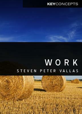 Work: A Critique by Steven Vallas