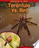 Tarantula Vs. Bird by Mary Meinking