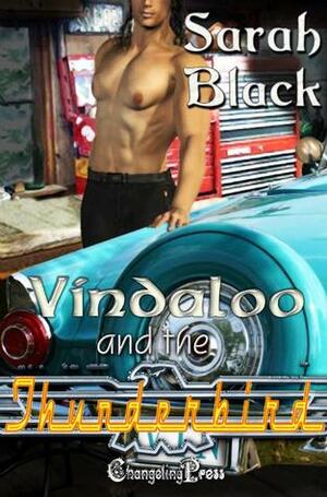 Vindaloo and the Thunderbird by Sarah Black