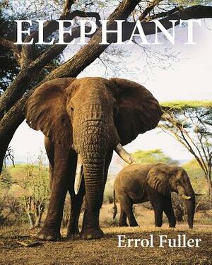 Elephant by Errol Fuller