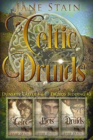 Celtic Druids: Dunskey Castle 4-6 by Jane Stain