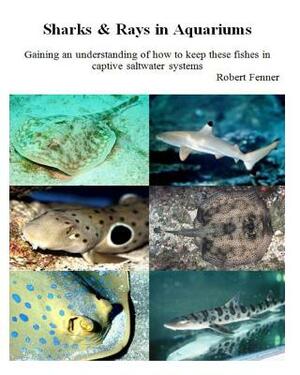 Sharks & Rays in Aquariums: Gaining an understanding of how to keep these fishes in captive saltwater systems by Robert Fenner