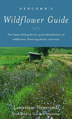 Newcomb's Wildflower Guide by Lawrence Newcomb