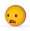 mealworm's profile picture