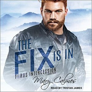 The Fix Is In by Mary Calmes