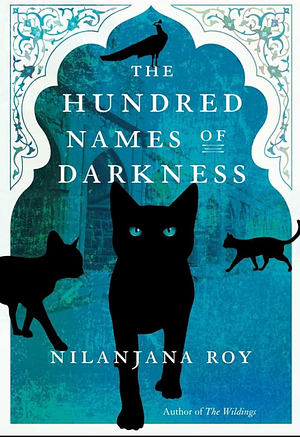 The Hundred Names of Darkness by Nilanjana Roy