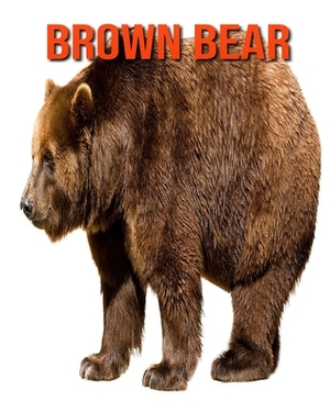Brown Bear: Incredible Pictures and Fun Facts about Brown Bear by William Doyle