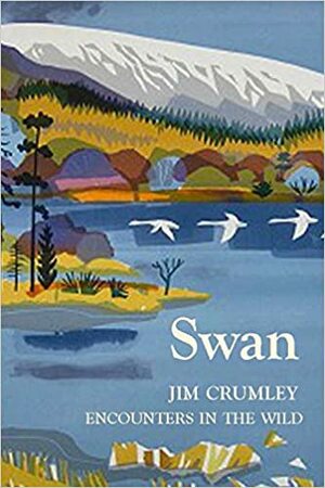 Swan by Jim Crumley