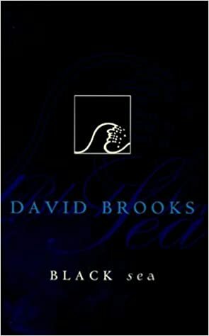 Black Sea by David Brooks