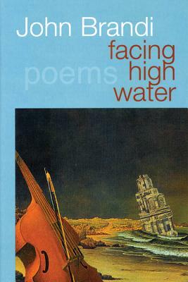 Facing High Water by John Brandi