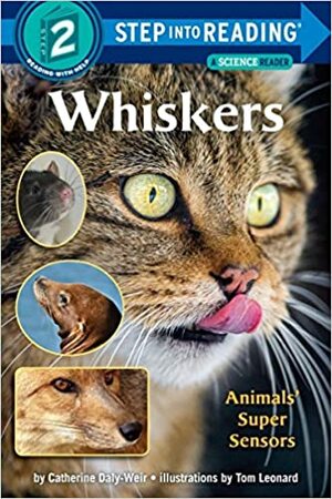 Whiskers by Catherine Daly-Weir