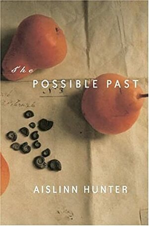 The Possible Past by Aislinn Hunter