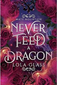 Never Feed a Dragon by Lola Glass