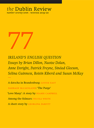 The Dublin Review #77 by Brendan Barrington