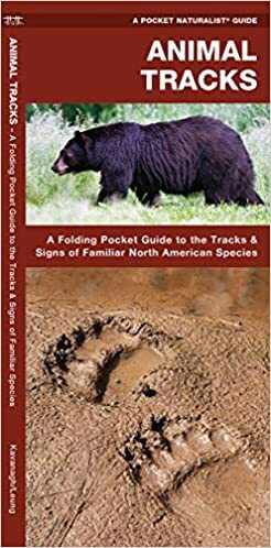 Animal Tracks: A Folding Pocket Guide to the Tracks & Signs of Familiar North American Species by James Kavanagh