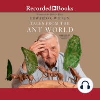 Tales from the Ant World by Edward O. Wilson