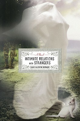 Intimate Relations with Strangers by David Valentine Bernard