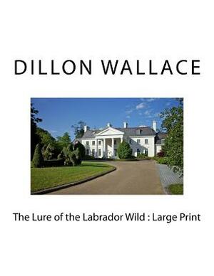 The Lure of the Labrador Wild: Large Print by Dillon Wallace