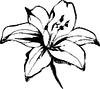 renaleelibros's profile picture