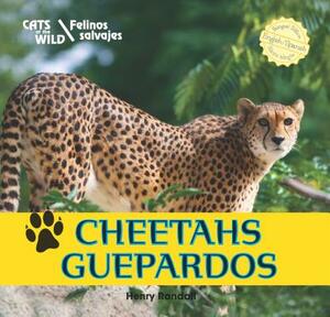 Cheetahs/Guepardos by Henry Randall