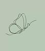 fatima_zahraa4's profile picture