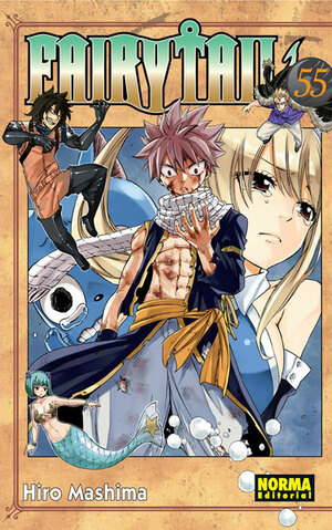 FAIRY TAIL 55 by Hiro Mashima