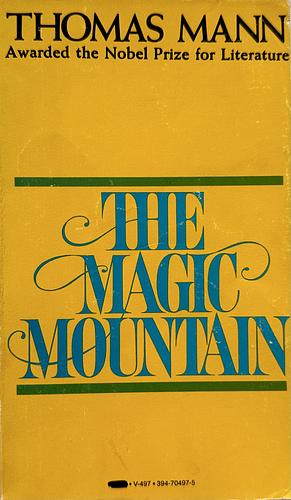 The Magic Mountain by Thomas Mann