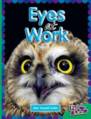 All about Eyes at Work Fast Lane Emerald Non-Fiction by Alan Trussell-Cullen