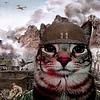 meowuhmm's profile picture