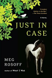 Just in Case by Meg Rosoff