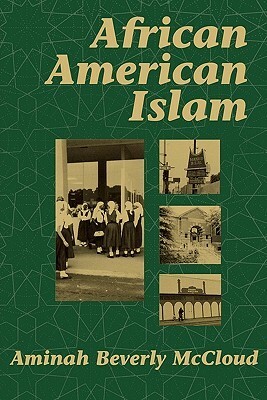 African American Islam by Aminah Beverly McCloud