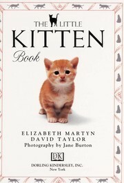 The Little Kitten Book by Jane Burton, David Taylor, Elizabeth Martyn